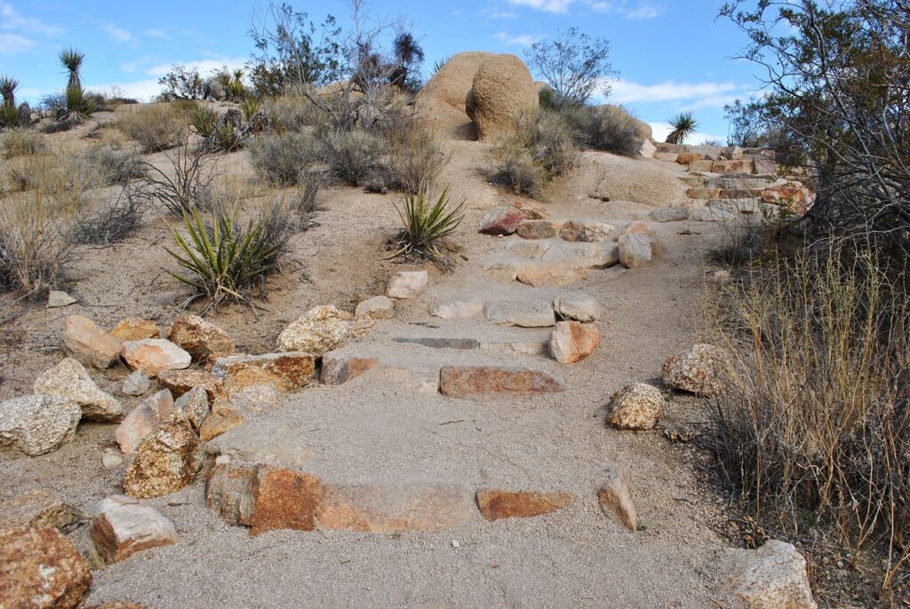joshua Tree National Park